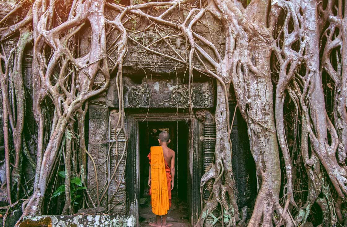 Ta Prohm Temple cambodia